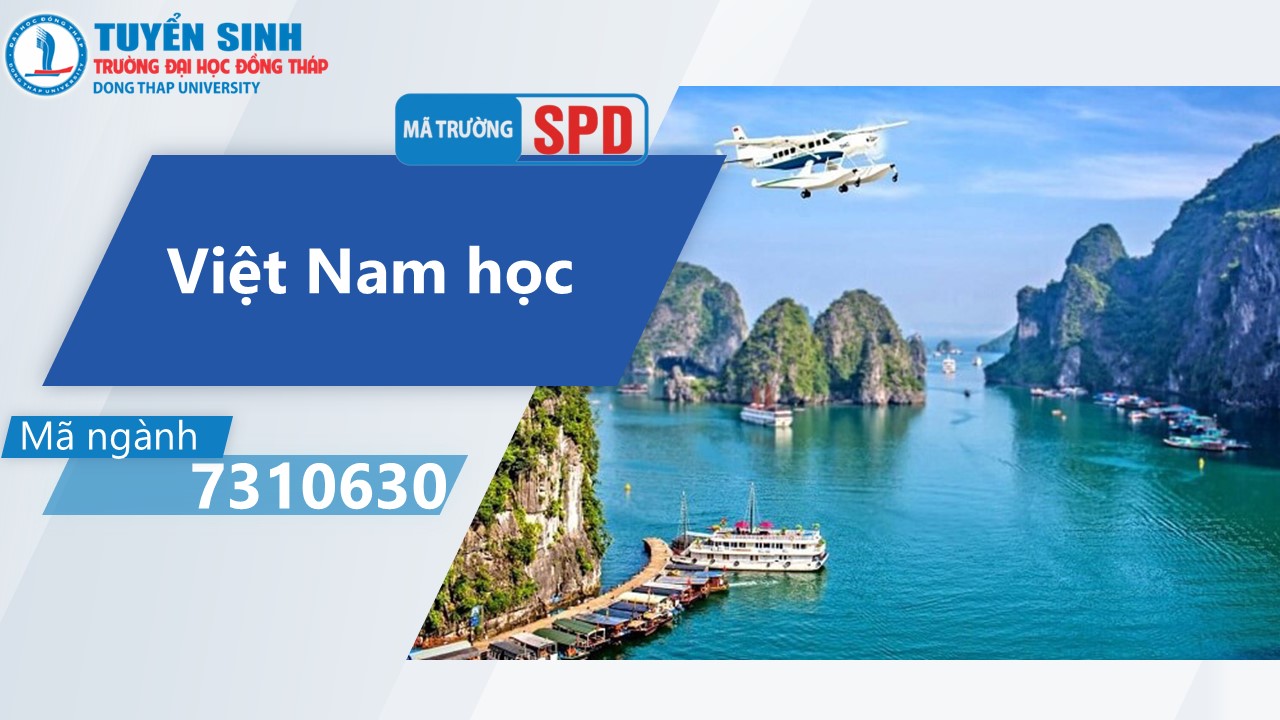 Ngành Việt Nam học